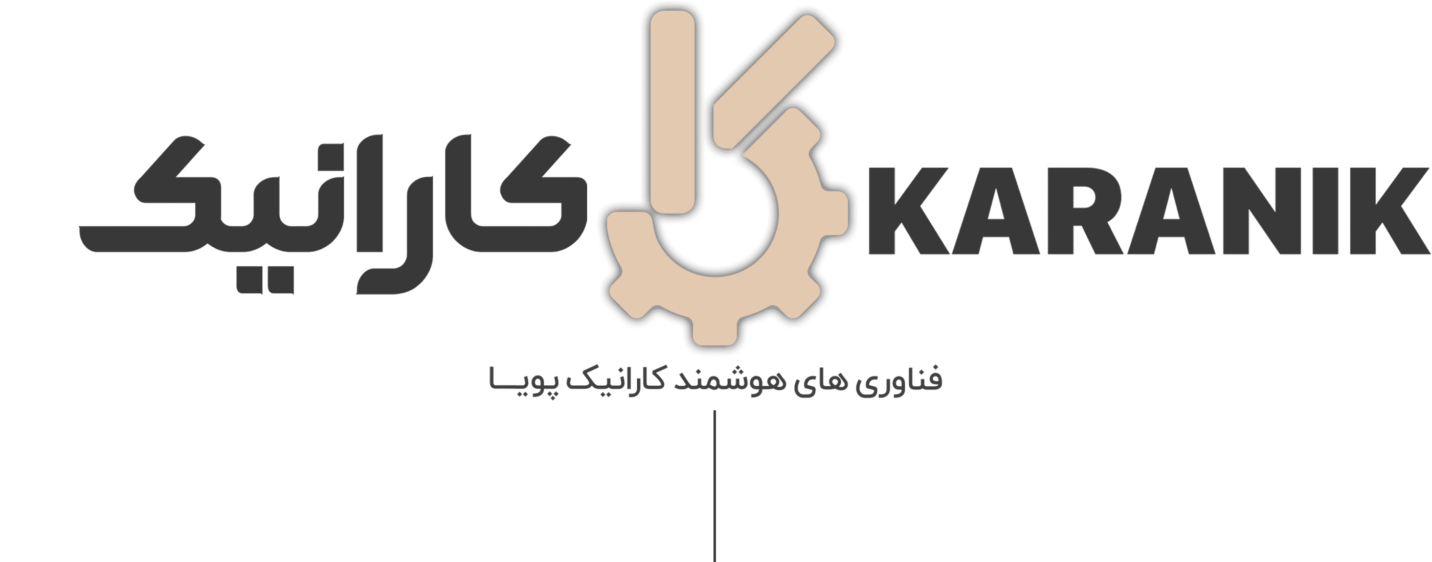 شرکت کارانیک